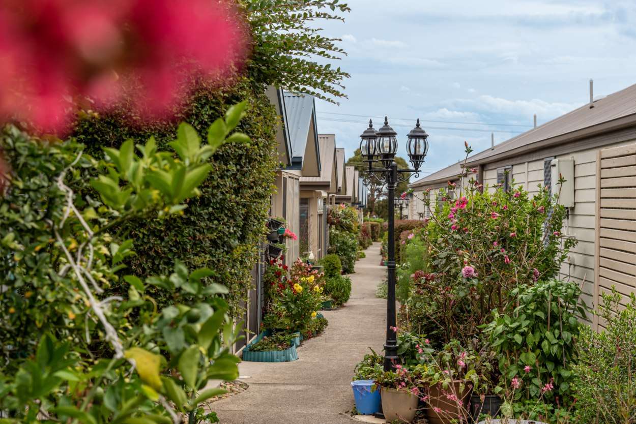 #SKYE_Rosella_2B + 1B