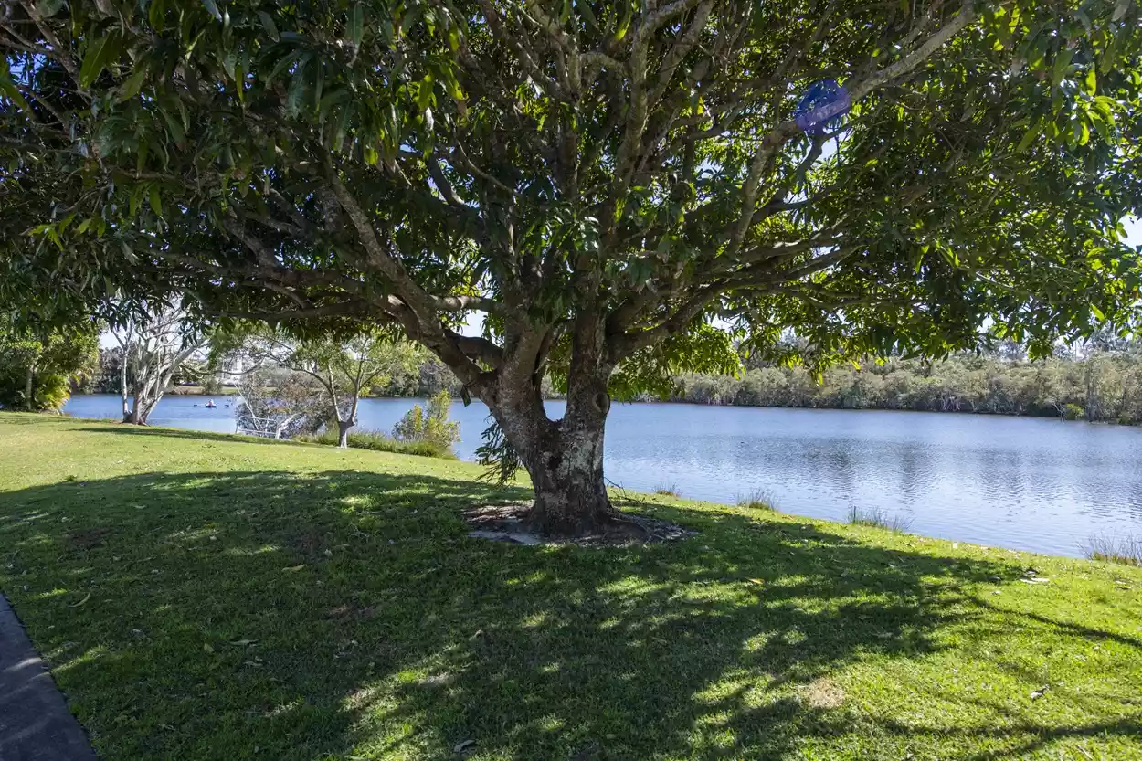 Palm Lake Resort Yamba
