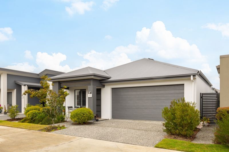 Site 50 - Established Kalbar