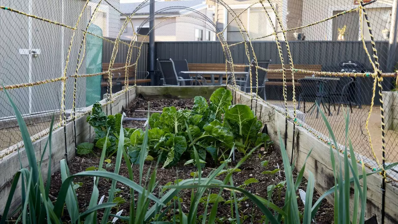 Aspen Lifestyle Four Lanterns