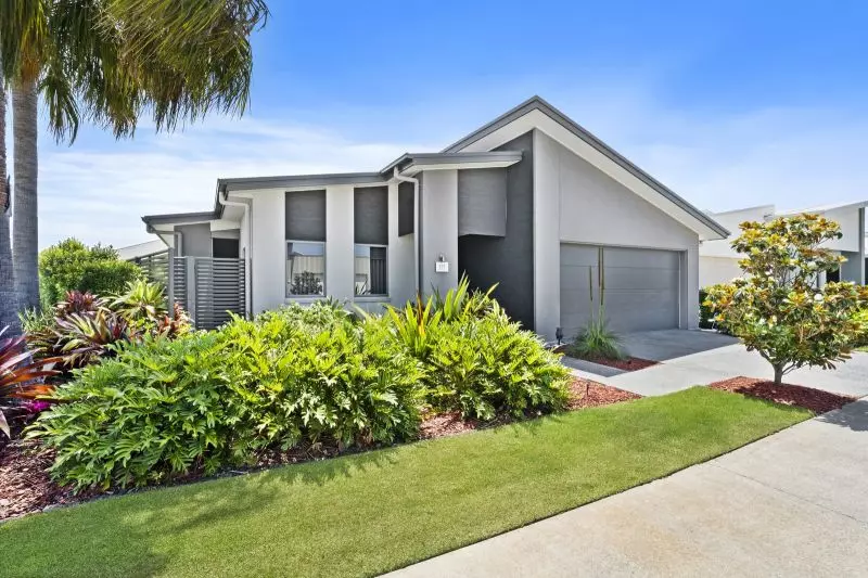 Site 81 - Established Special