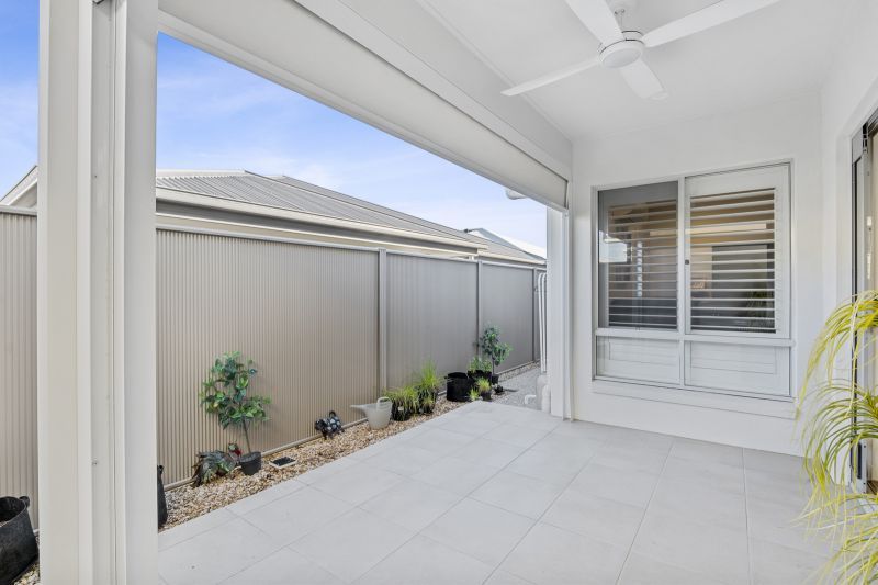 Site 207 - Established Beechmont