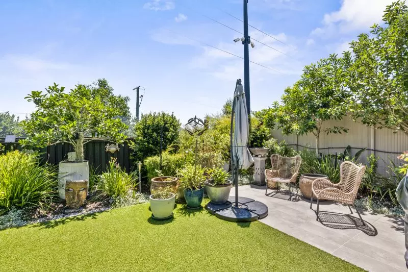 Site 100 - Established Lillydale