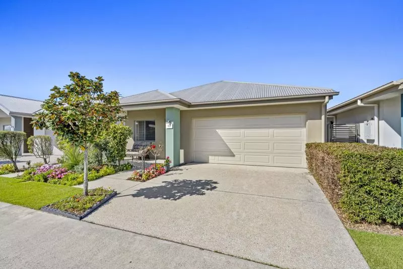 Site 55 - Established Crest Mare