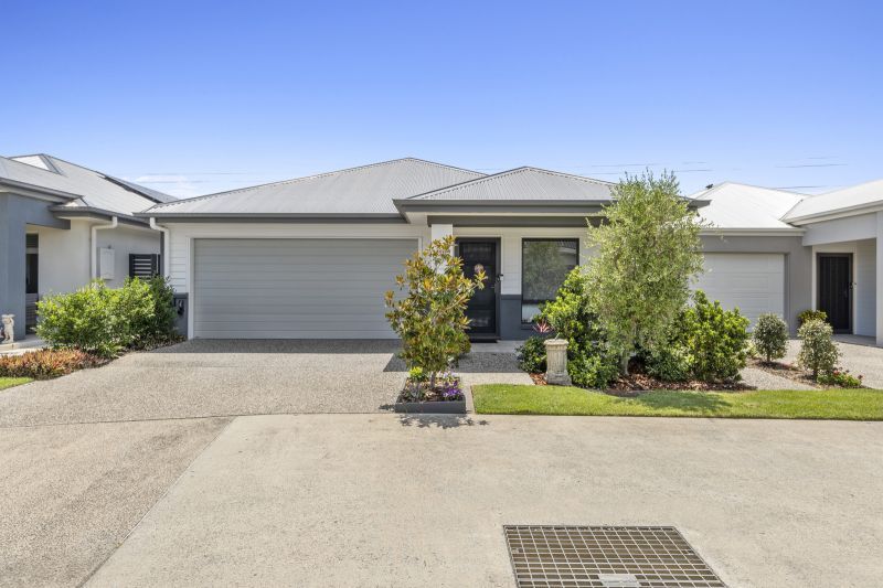 Site 107 - Established Kalbar H6