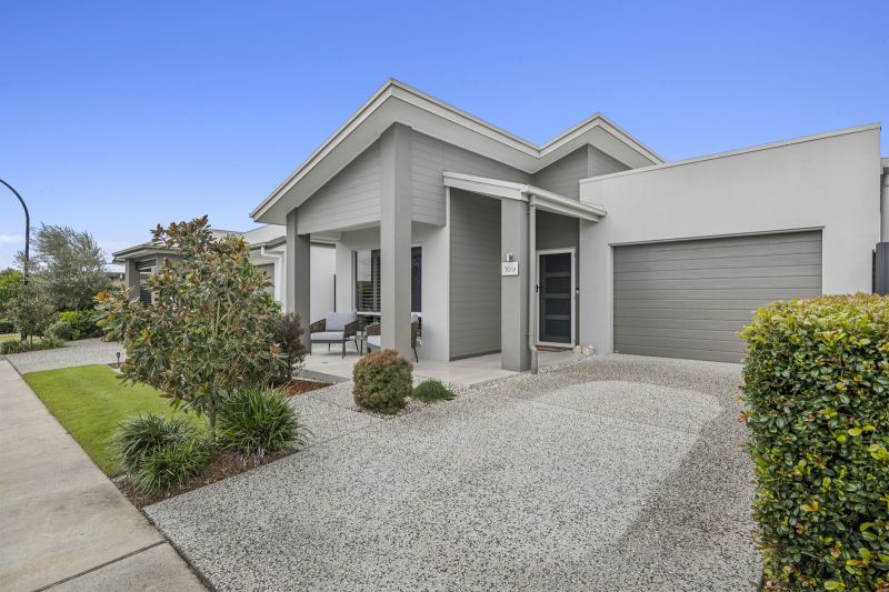 Site 169 - Established Rosevale