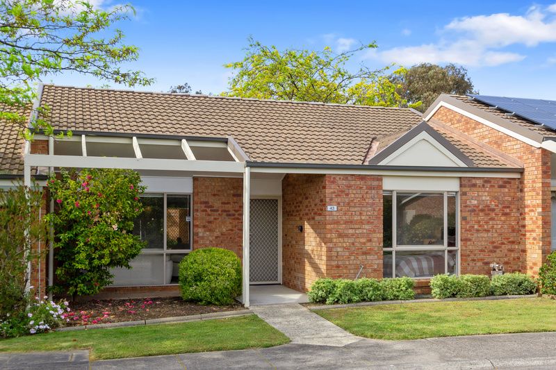 Freshly Updated, Leafy Views