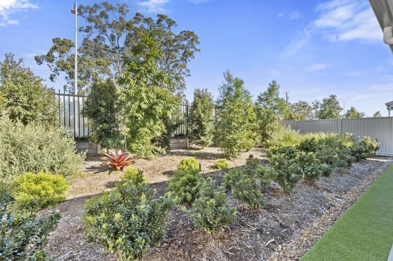 Site 9 - Established Elysian