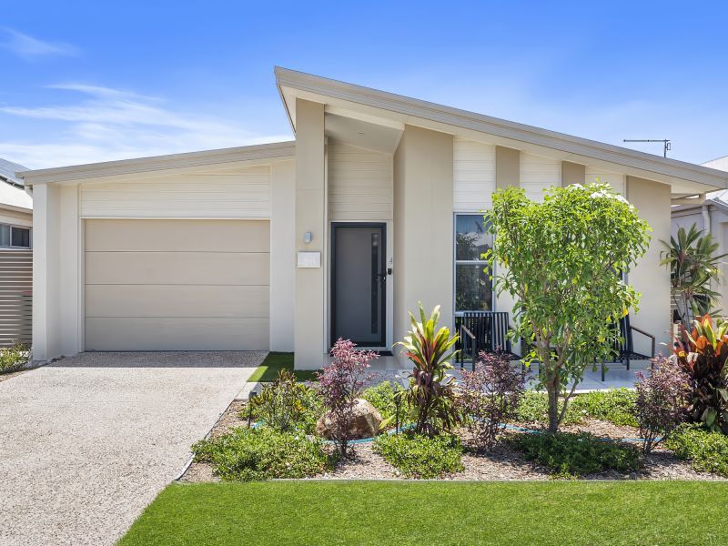 Site 68 - Established Davenport