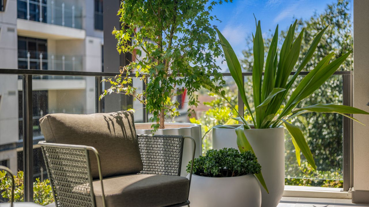 1 Bedroom + Multi-Purpose Room| Levande Cardinal Freeman