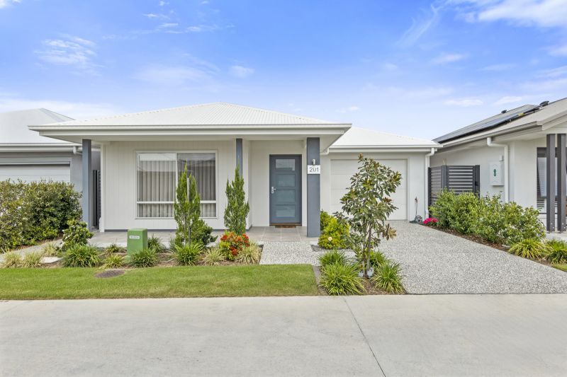 Site 201 - Established Allora