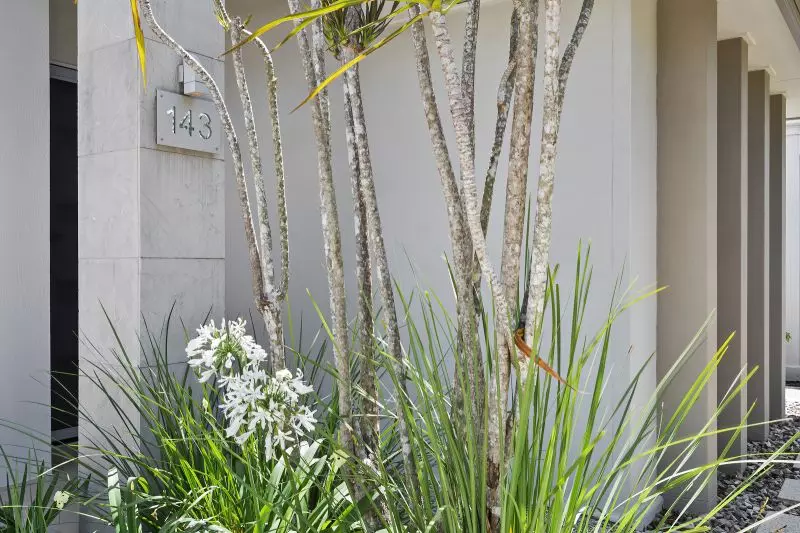 Site 143 - Established Ninderry