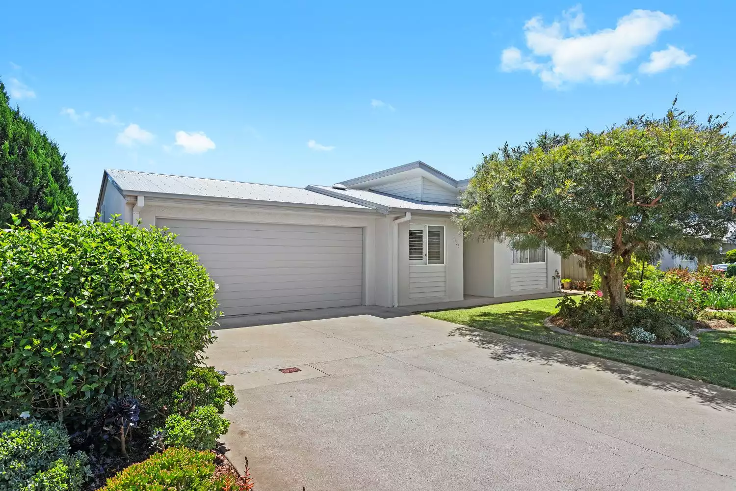 "One of a Kind- Eucalyptus"