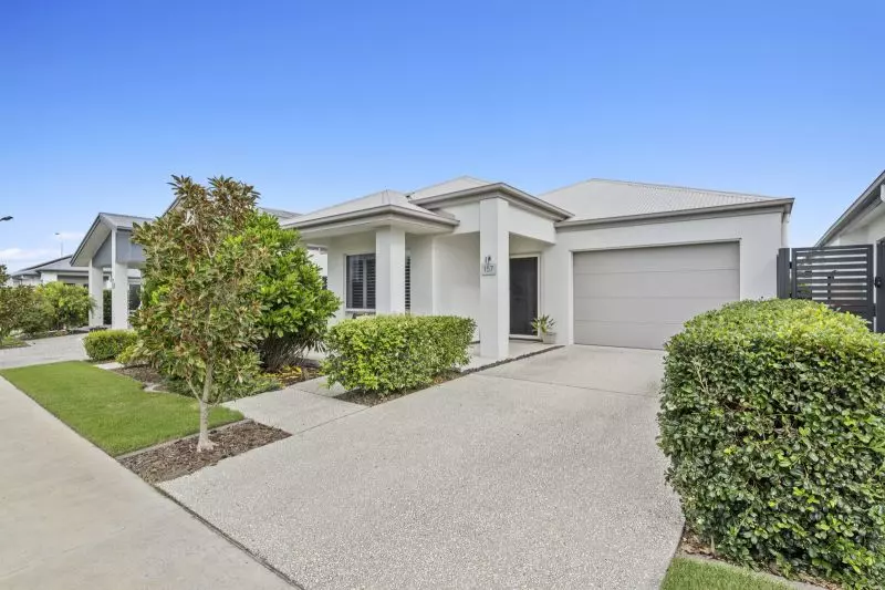 Site 157 - Established Rosevale