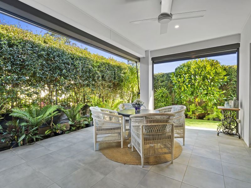 Site 35 - Established Sumatra