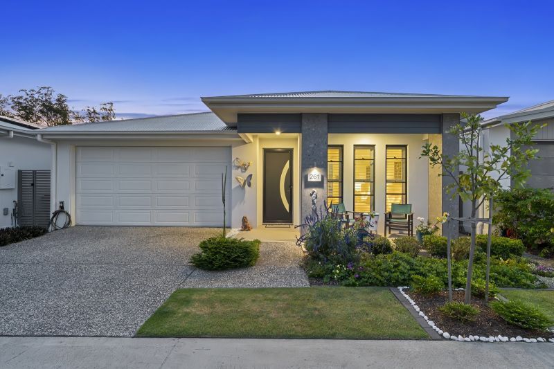 Site 261 - Established Kondalilla