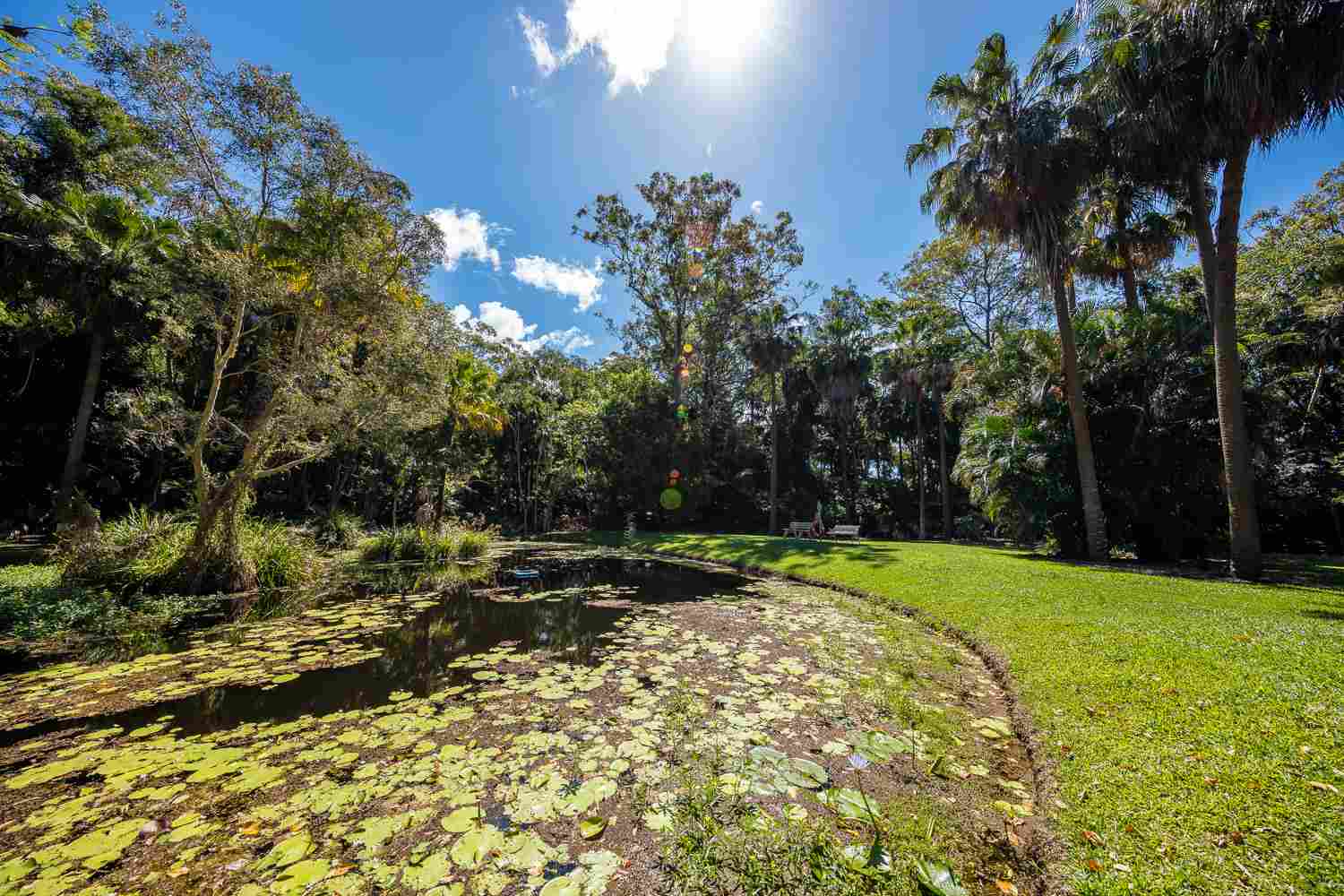Buderim Gardens