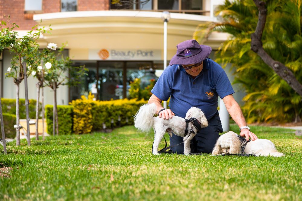 Start Your Day with Serenity