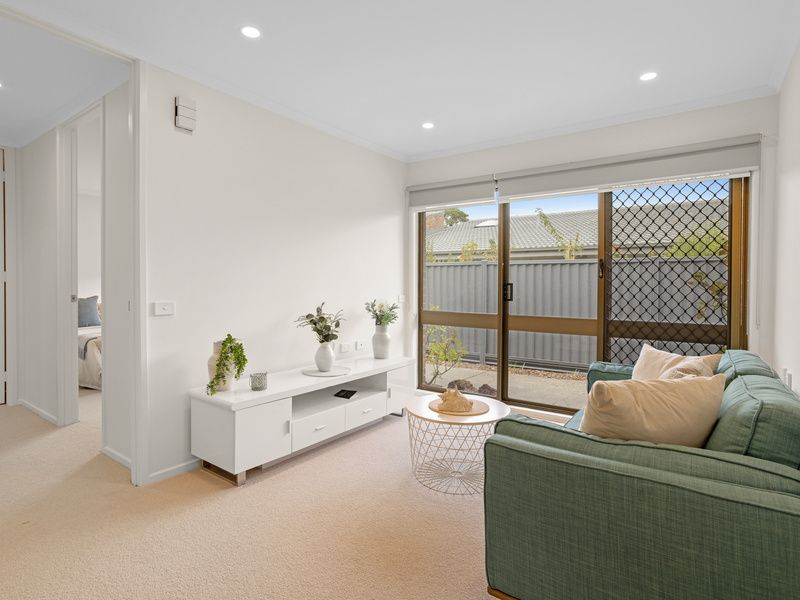 Newly Renovated Apartment with Contemporary Style