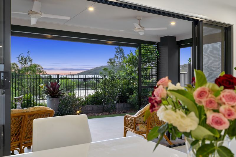 Site 261 - Established Kondalilla