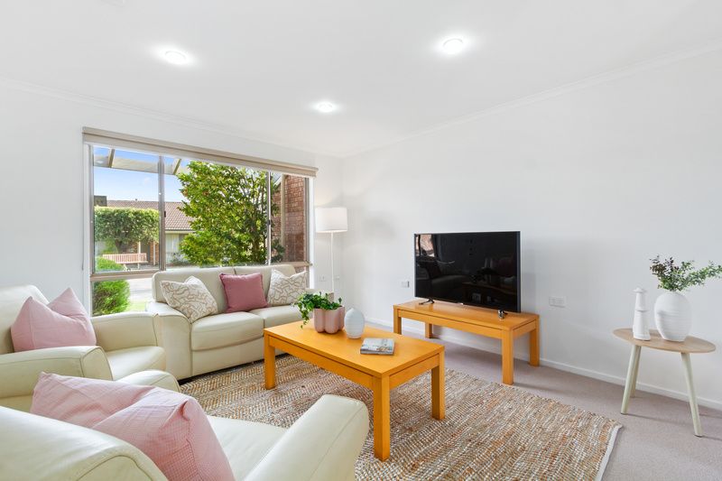 Freshly Updated, Leafy Views