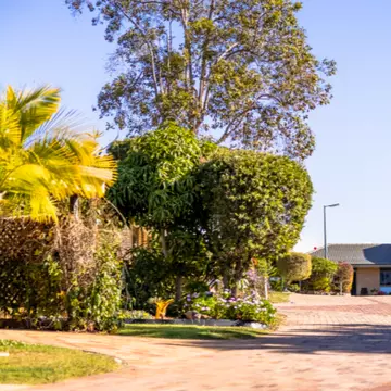 Two Bedroom | Unit 97