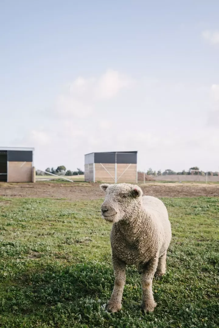 Lifestyle Communities Bellarine - Spacious corner gem with large private outdoor space