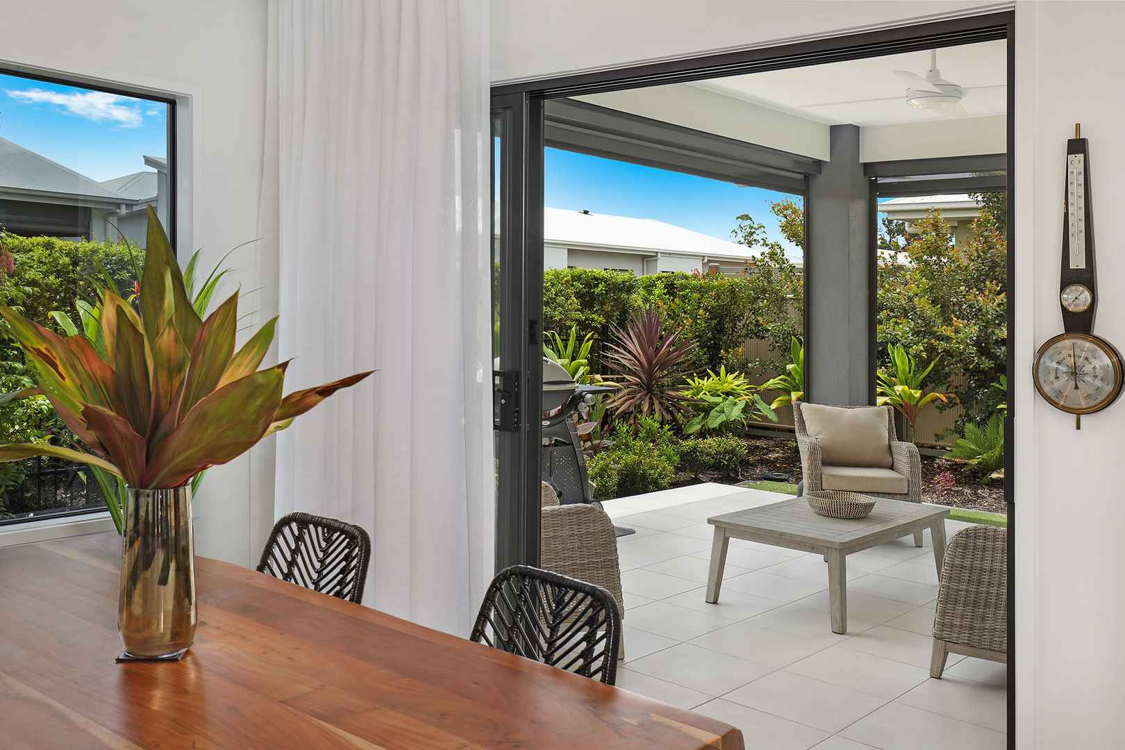 The Next Chapter is Looking Amazing! V238