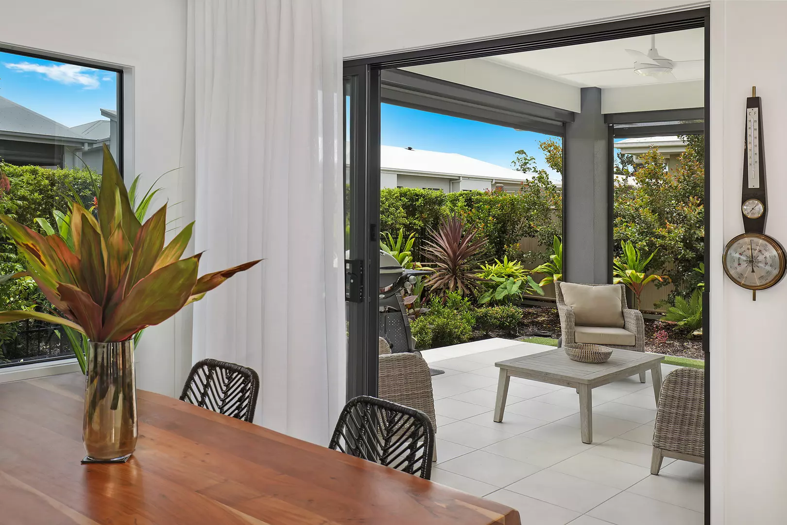 The Next Chapter is Looking Amazing! V238