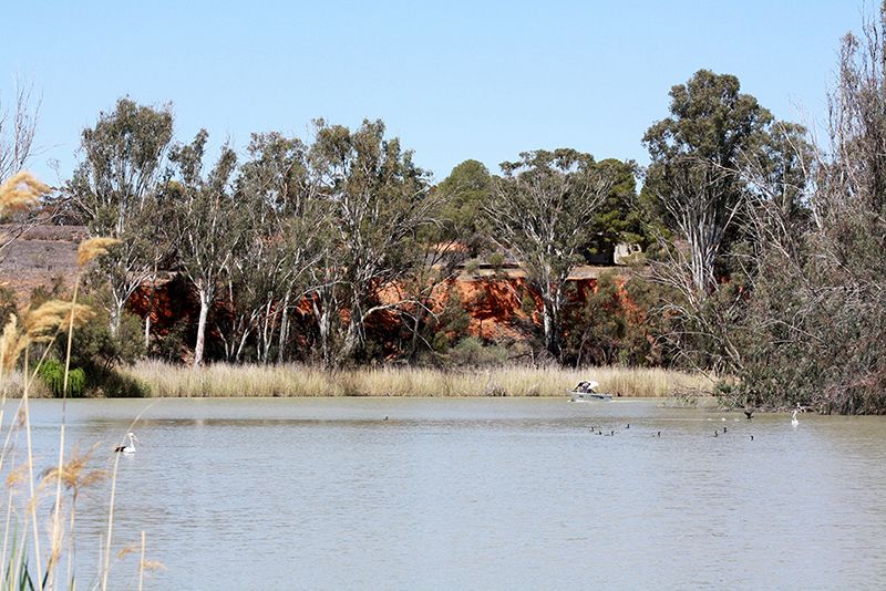 Resthaven Murray Mallee Hills Community Services - Murray Bridge, can provide Level 1, 2, 3 and 4 Home Care Packages