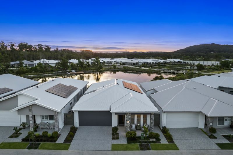 Site 258 - Established Kondalilla