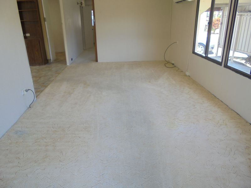 Lime Tree Village - Site 44