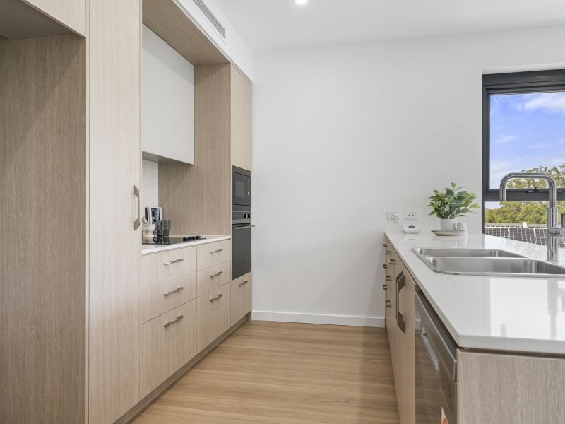 Luxury living immersed in calming bushland surrounds
