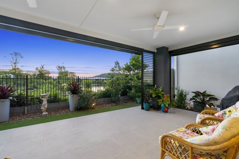 Site 261 - Established Kondalilla