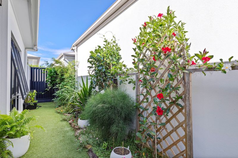 Site 165 - Established Cottesloe