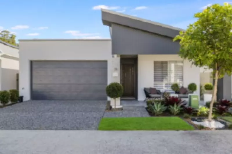 Site 262 - Established Sequoia