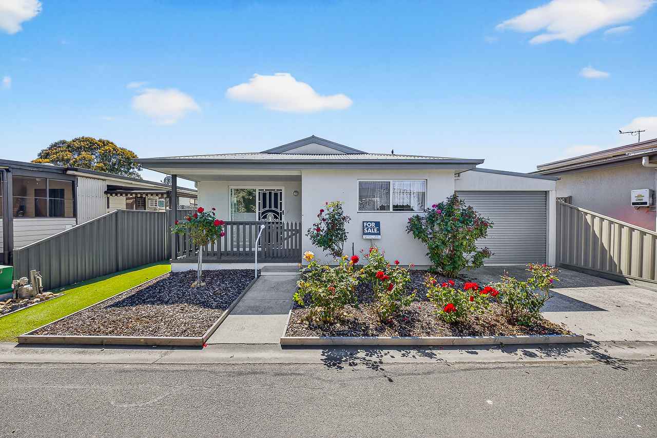 Palm Lake Resort Willow Lodge