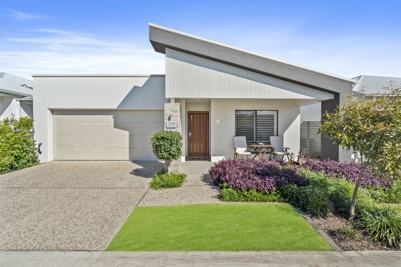 Site 217 - Established Sequoia