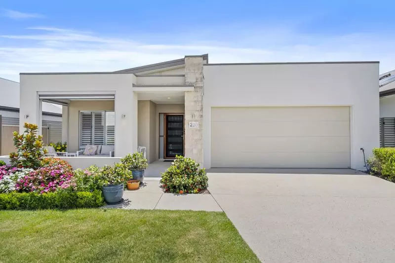 Site 230 - Established Peregrine