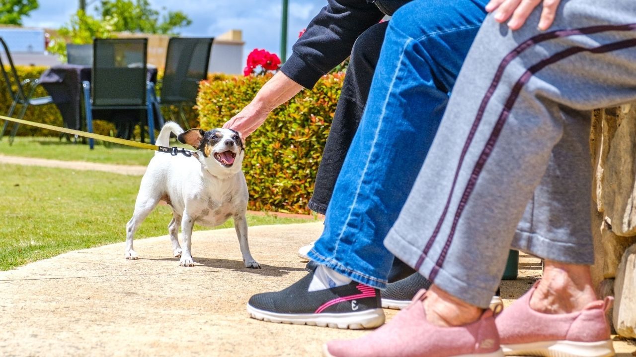 Aspen Lifestyle Sierra