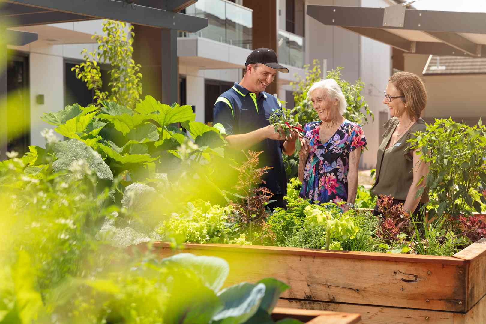 A genuine alternative to aged care on the Central Coast