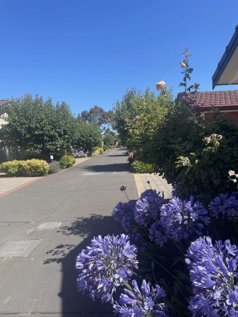 Distinctive Lifestyle Kidman Gardens