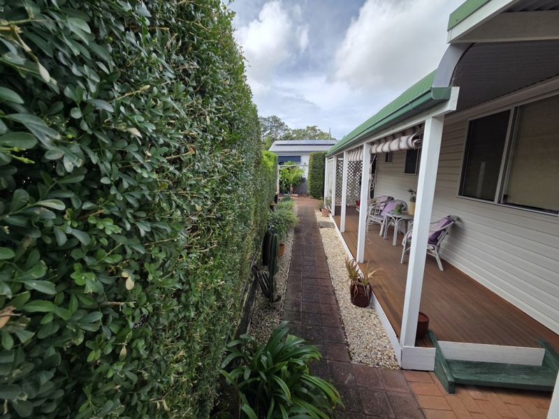 Life Like You Mean It