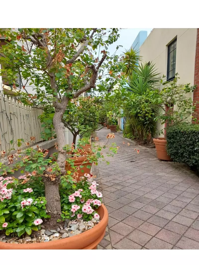 A Unique New York Style Townhouse, Heritage Development!