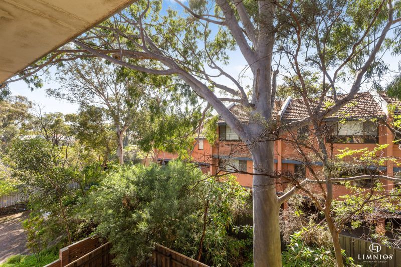 Investment Potential!