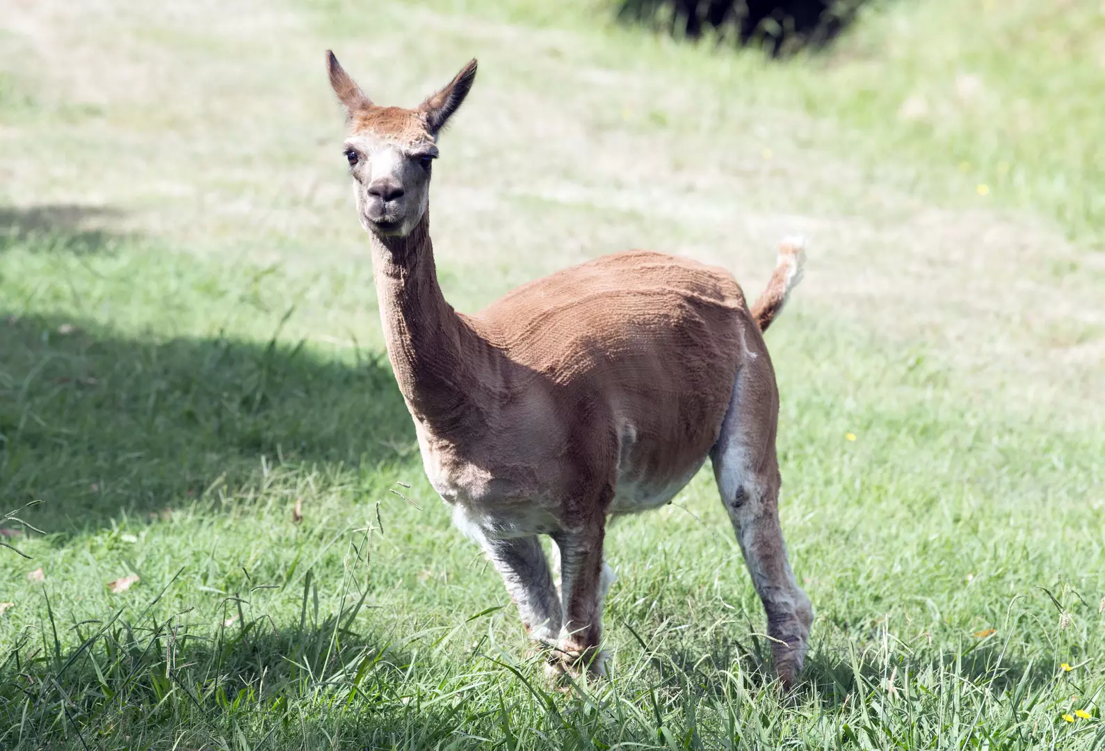 Lifestyle Warragul - Timeless country meets cosmopolitan living.