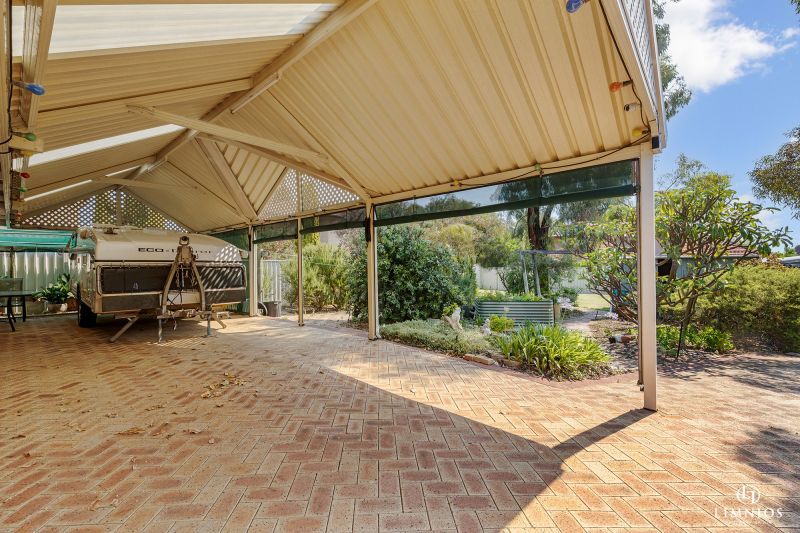 Explore your options!