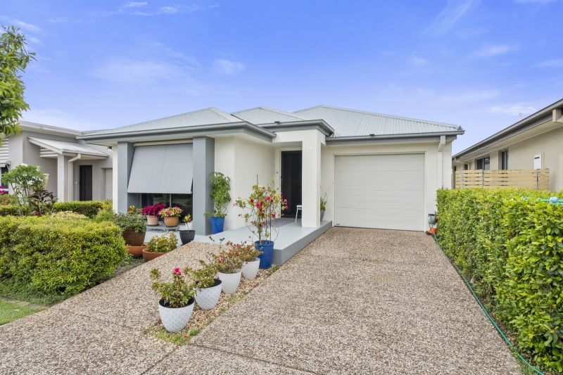 Site 36 - Established Hinchinbrook