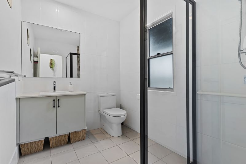 Stunning Rainforest Outlook