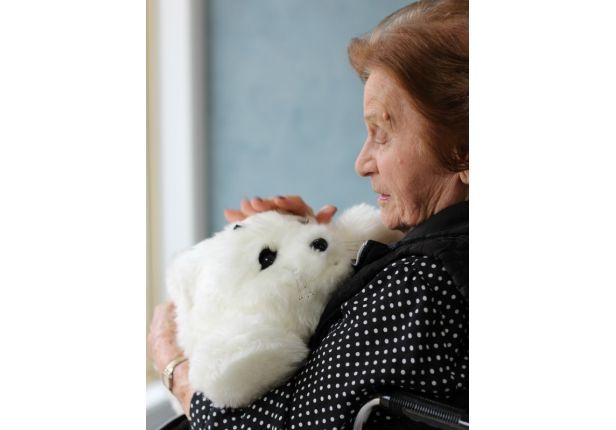 William Beech Gardens